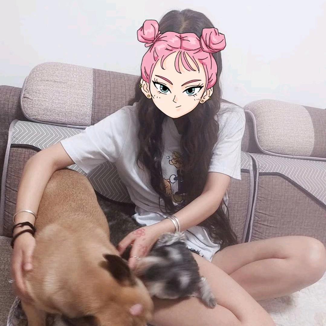 爱吃包谷的兔子