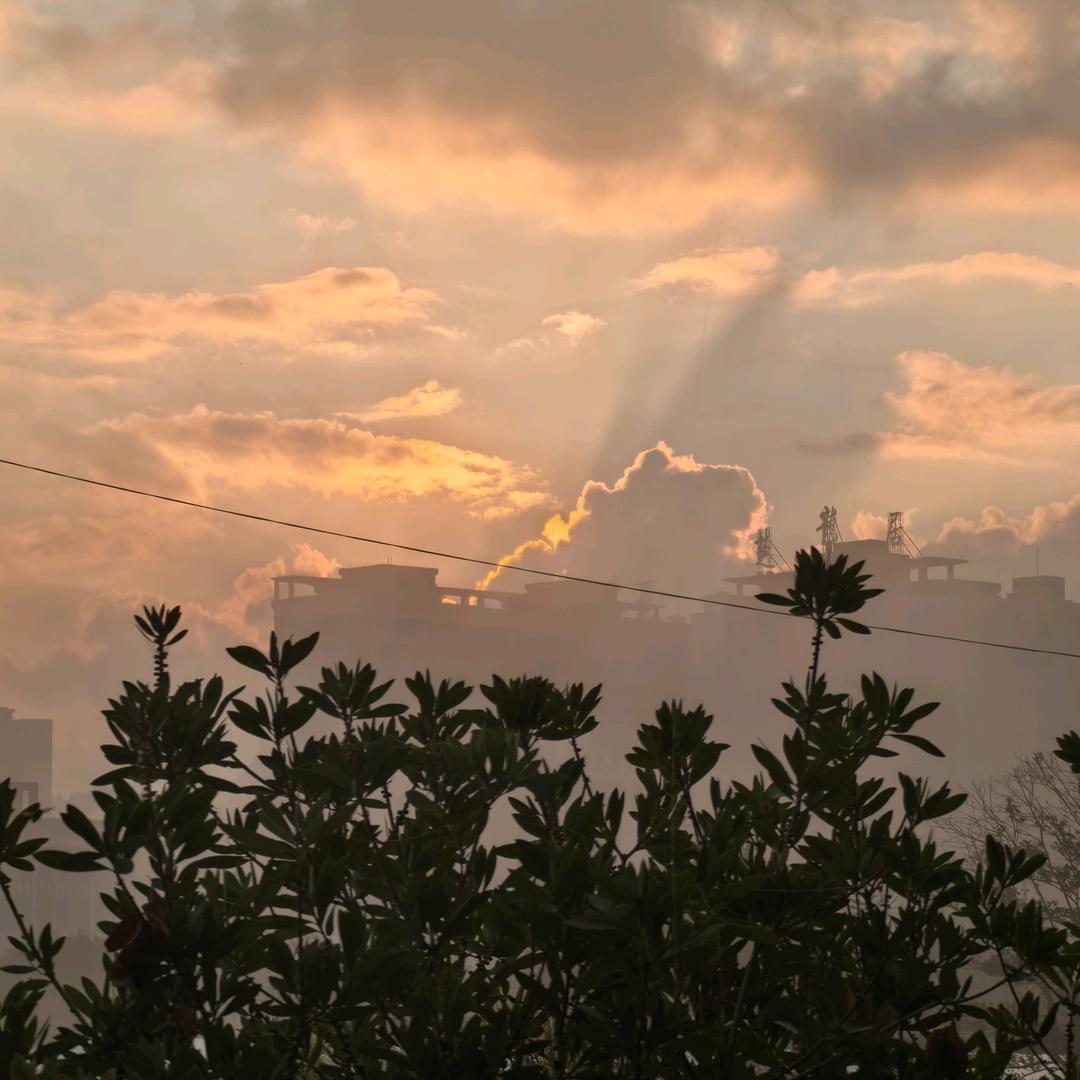 我的世界你的风