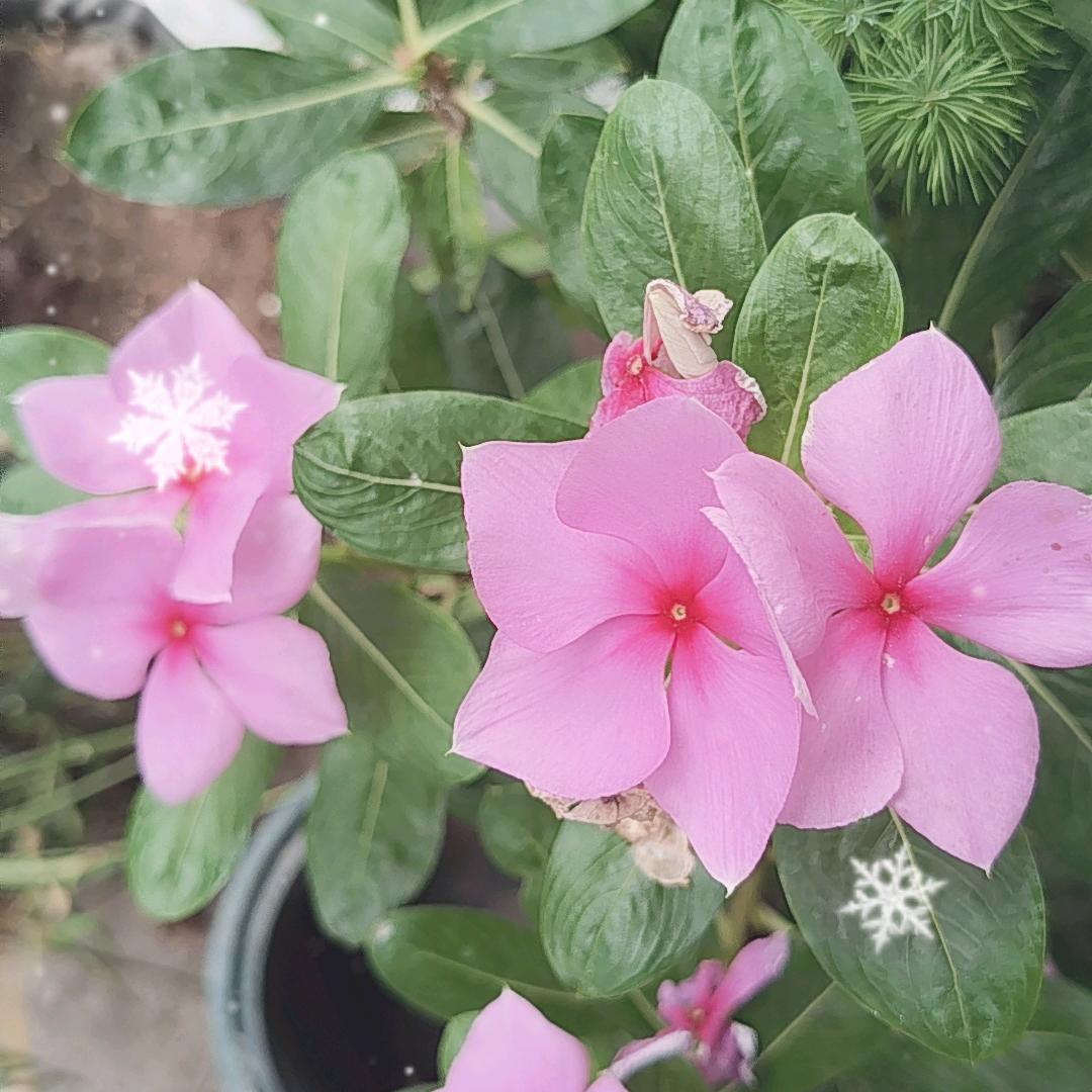 一生有你