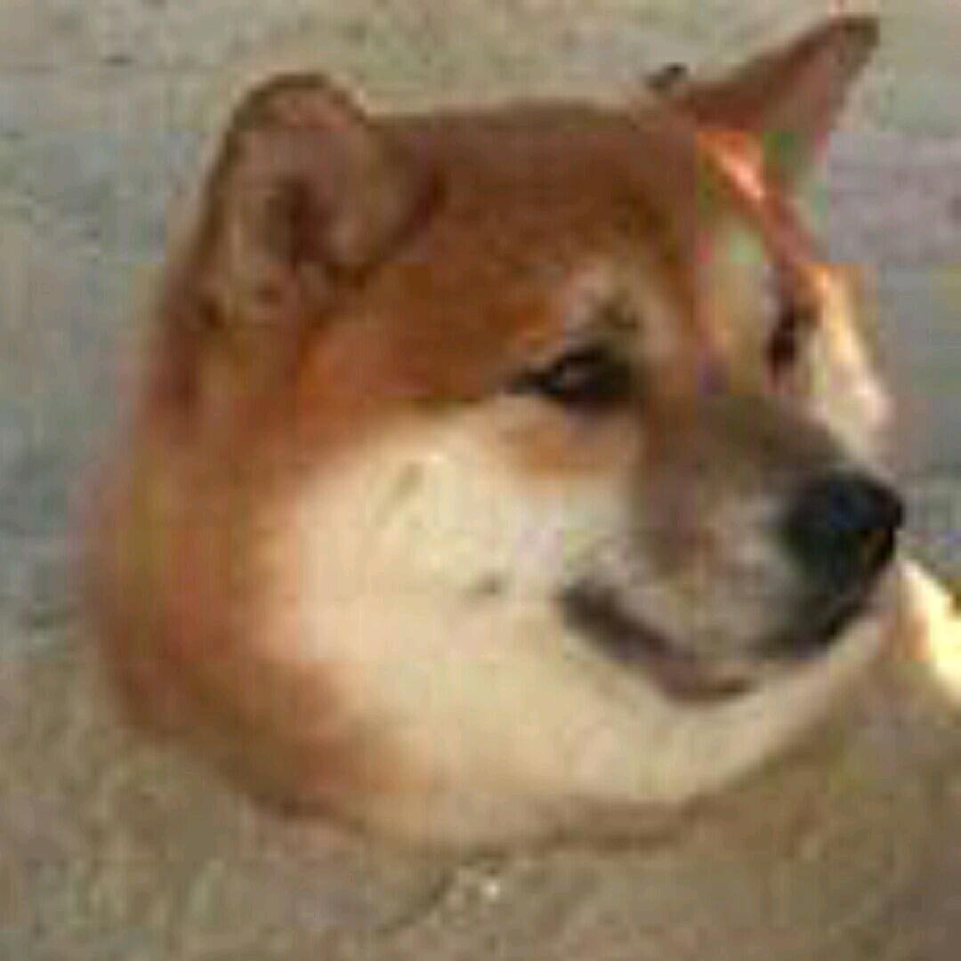 窗边一号