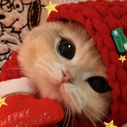 恶童