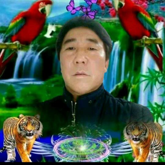 董哥✌✌