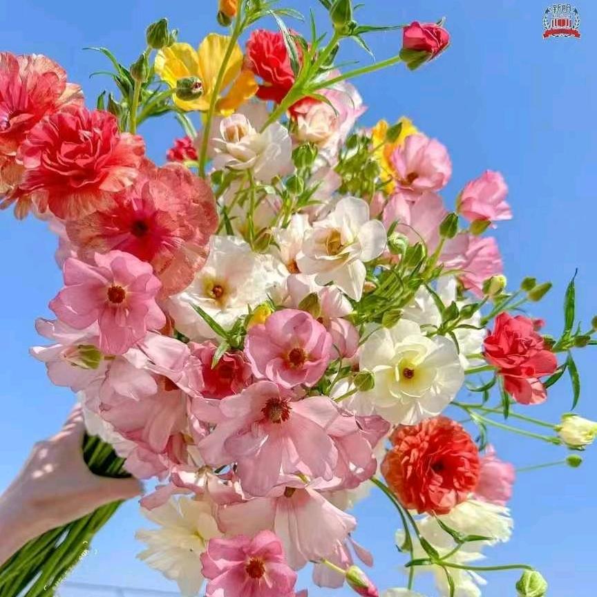 @꧔ꦿ᭄ 自ঞᩚ渡꧔ꦿ᭄💔: ꧔ꦿ᭄