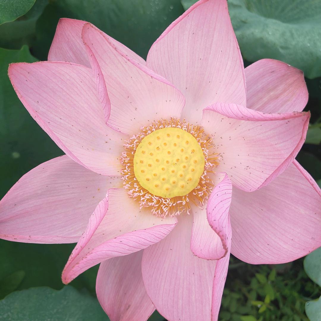 用户724345879895丹丹