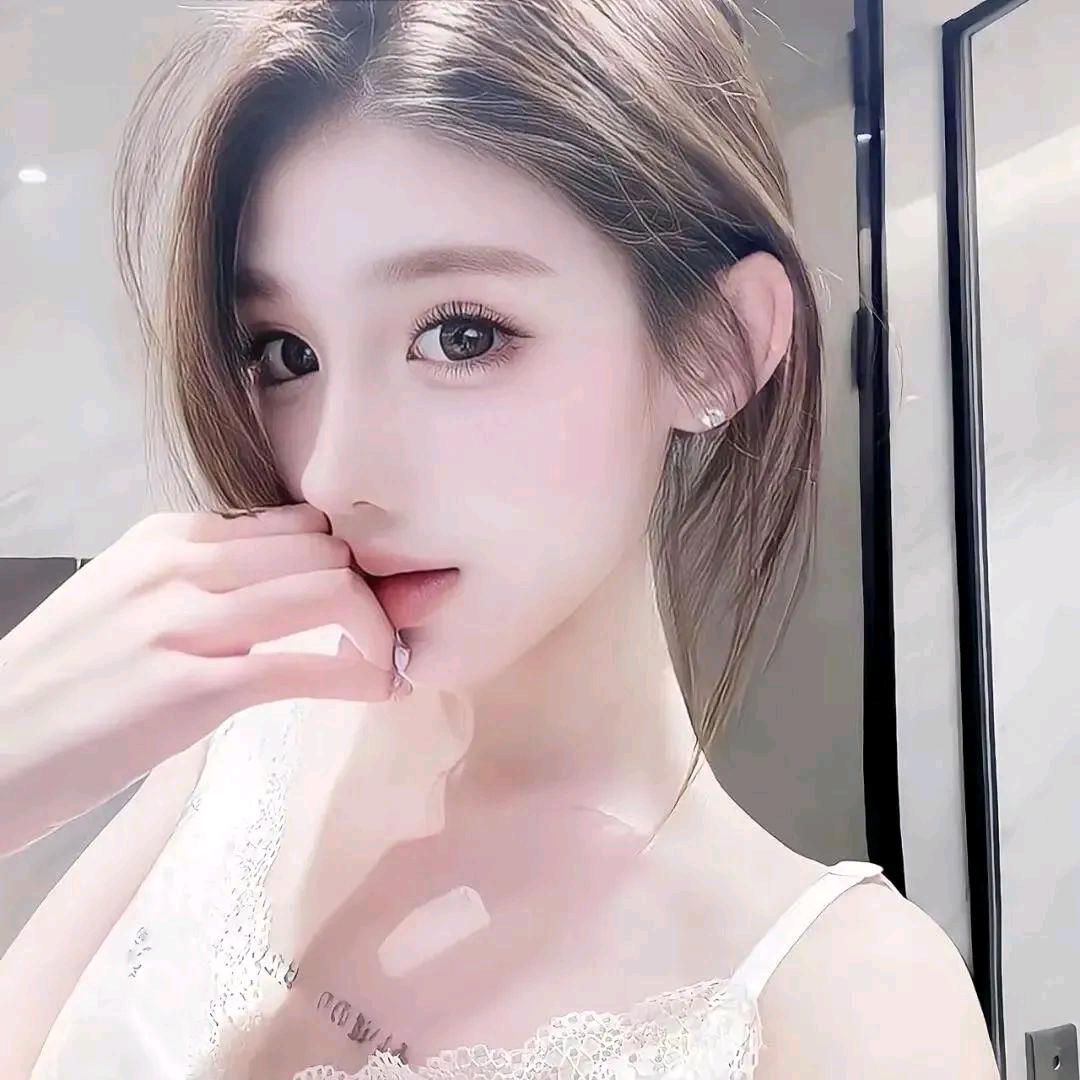 寻猫迹