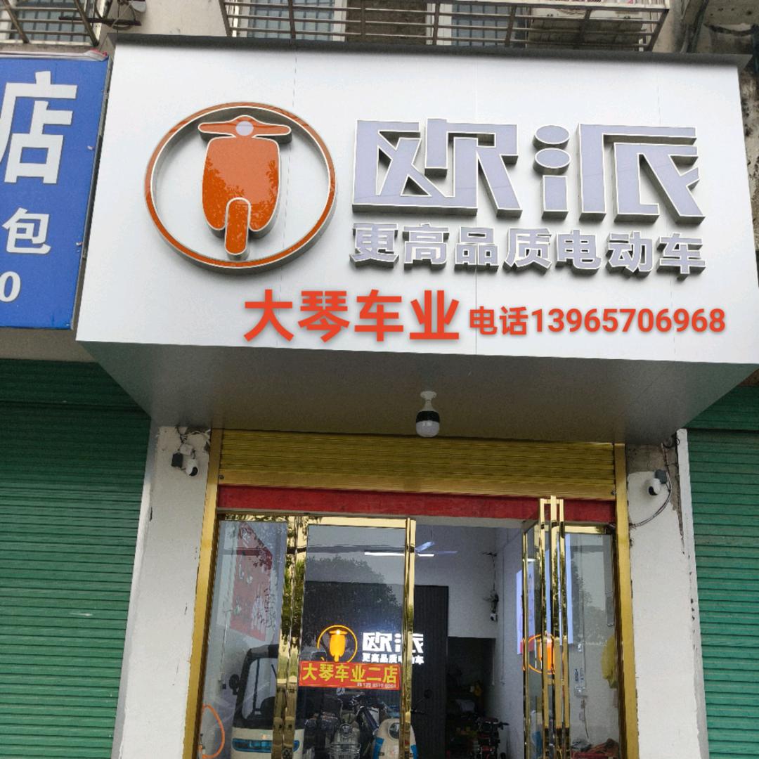 阜南大琴车业欧派🛵海宝