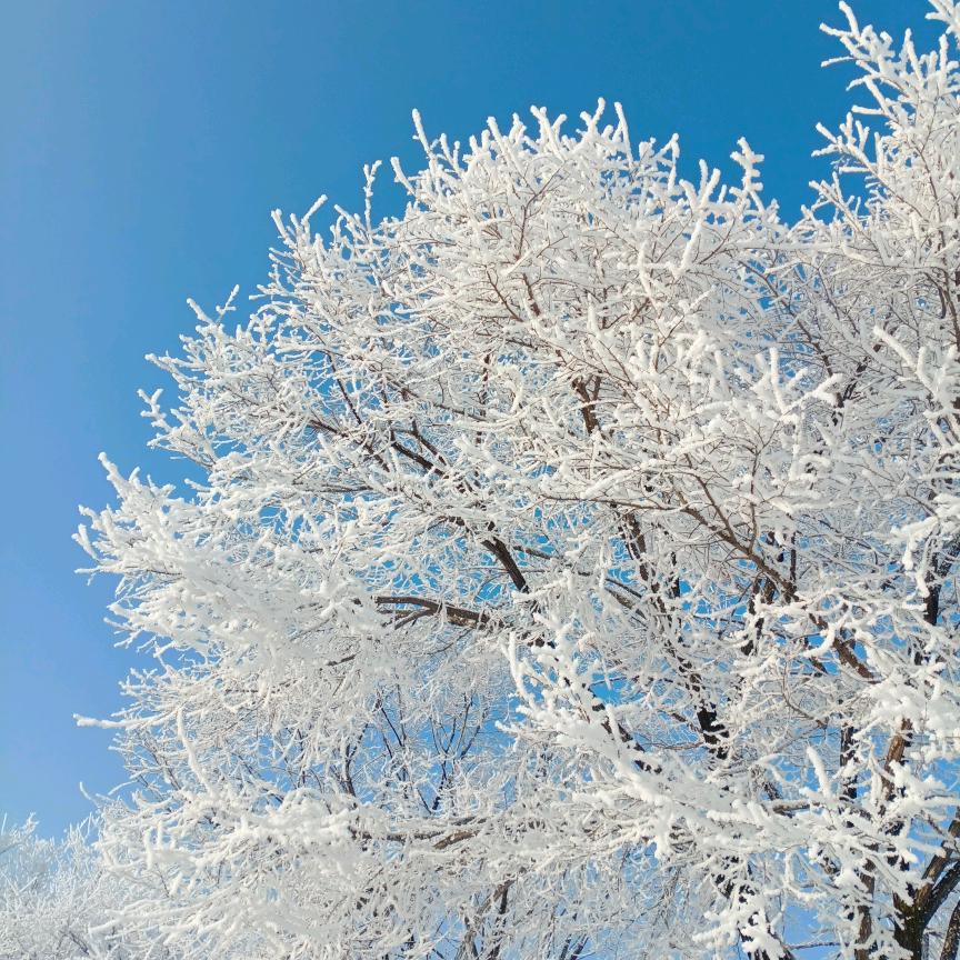 与人为善…金山小镇