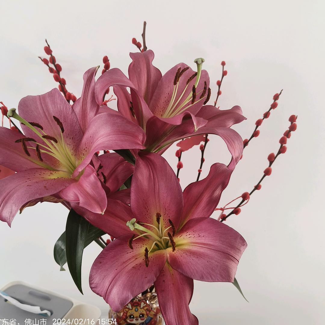 小彩迷👧🏻✨：）