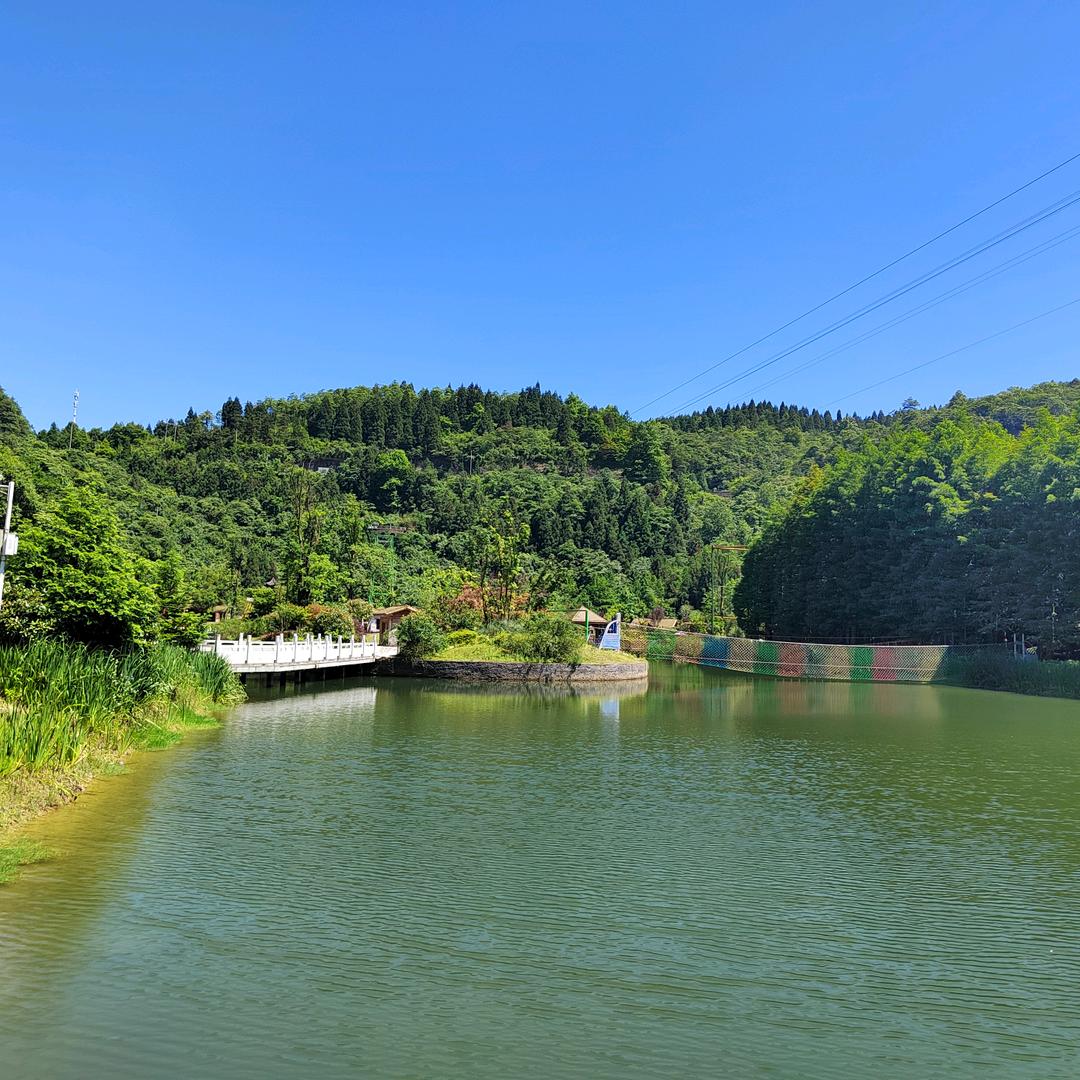 网约车王哥🚘🚘