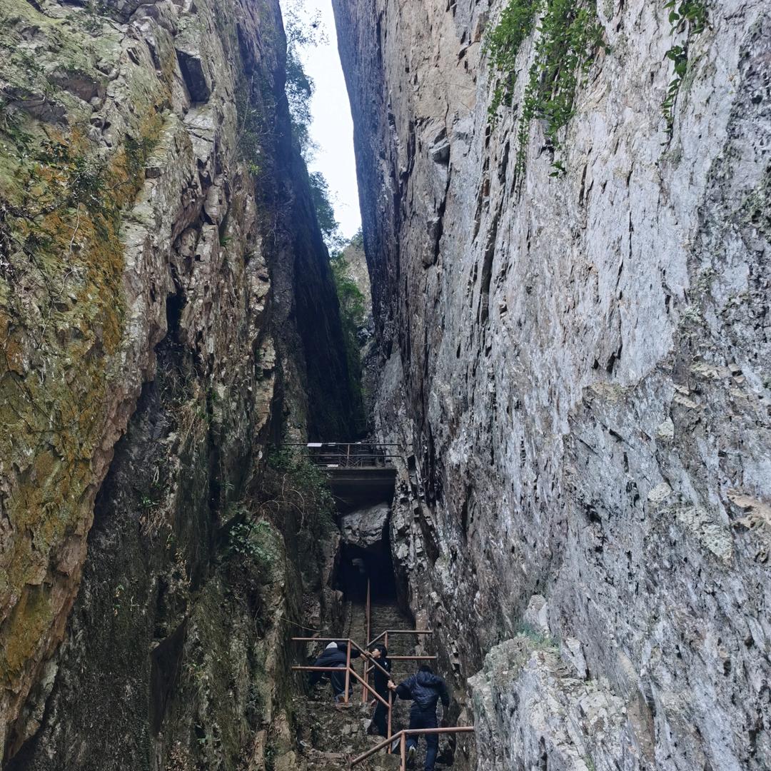 WHM