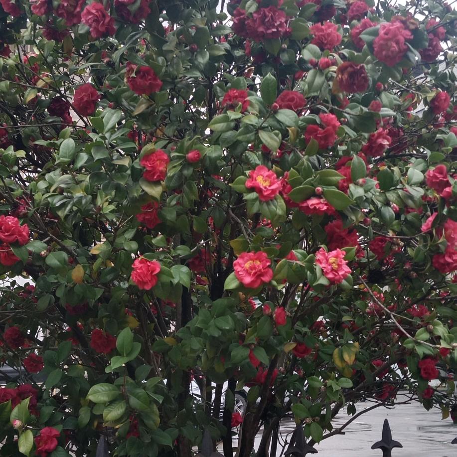 潇洒哥，爱钓鱼