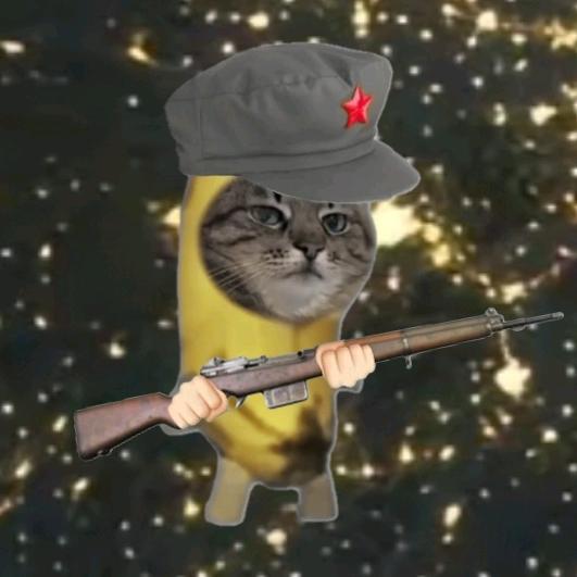 鸿涟猫meme