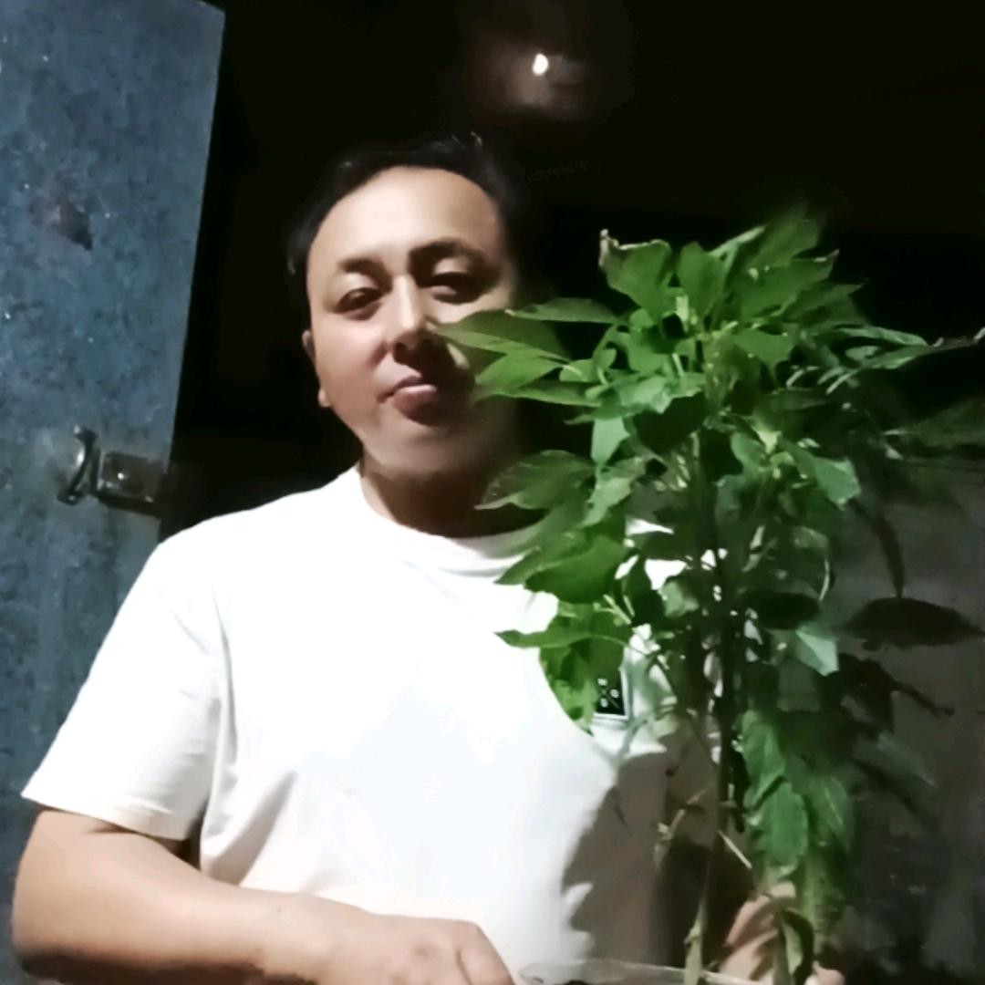 小罗《早上4：50准时开播》