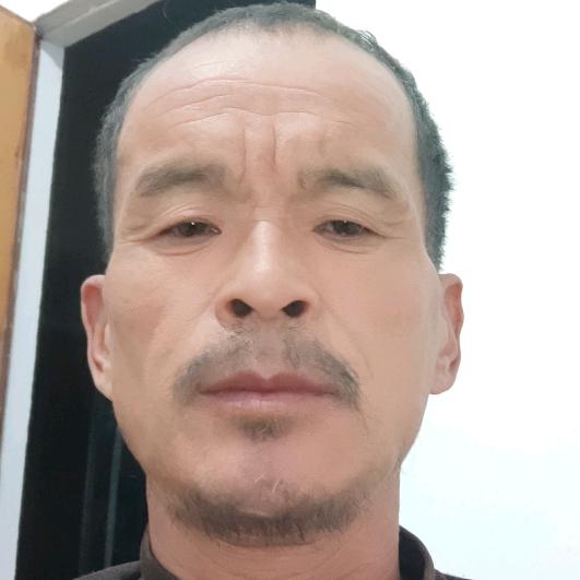 山东高青常家镇红利