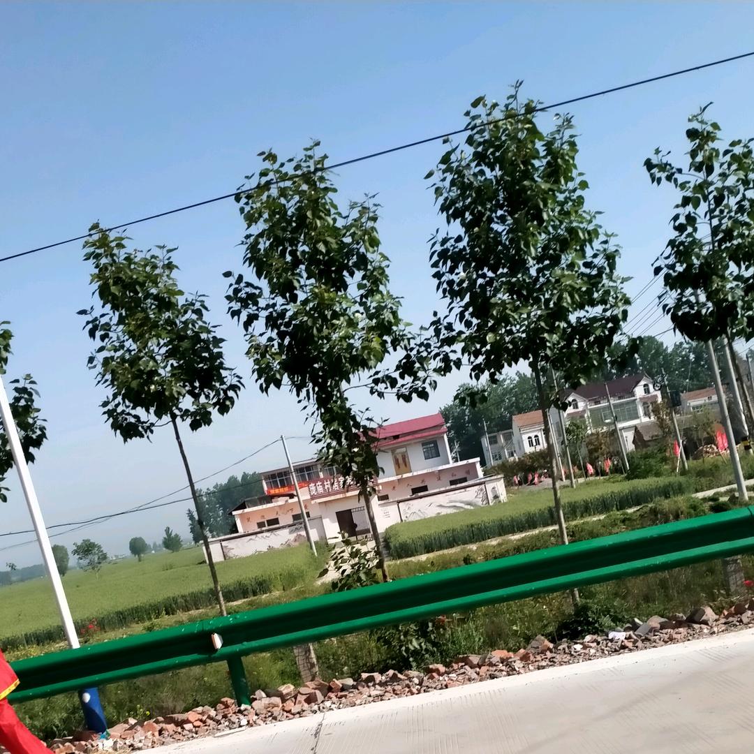 阳123
