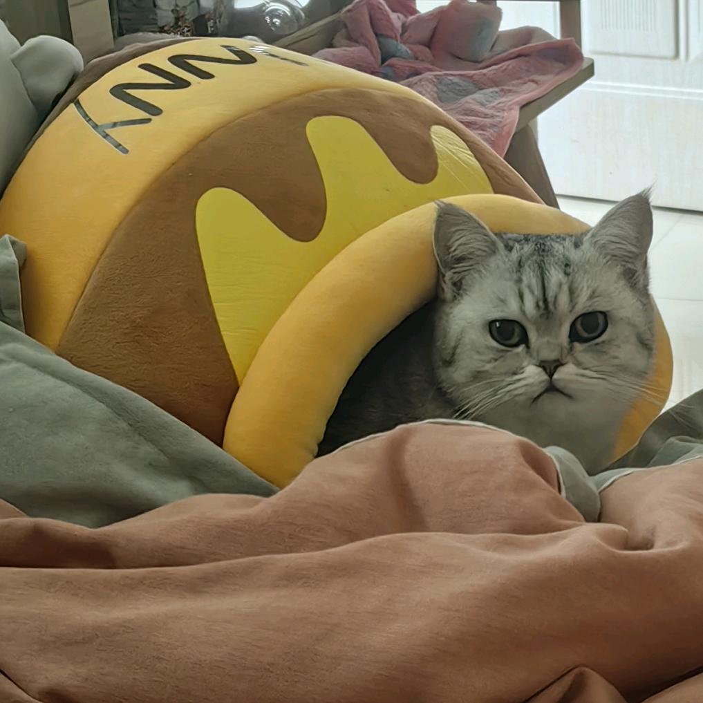 面条