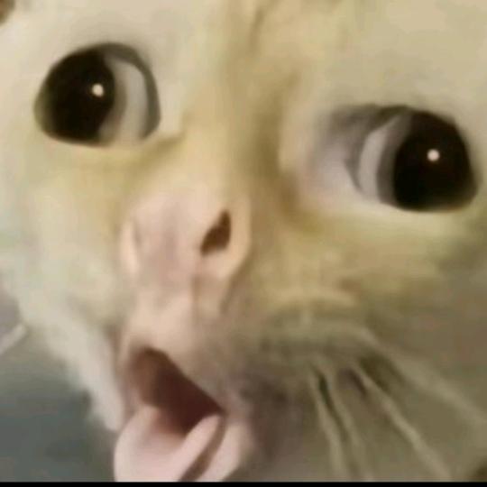 国家特级不保护废物