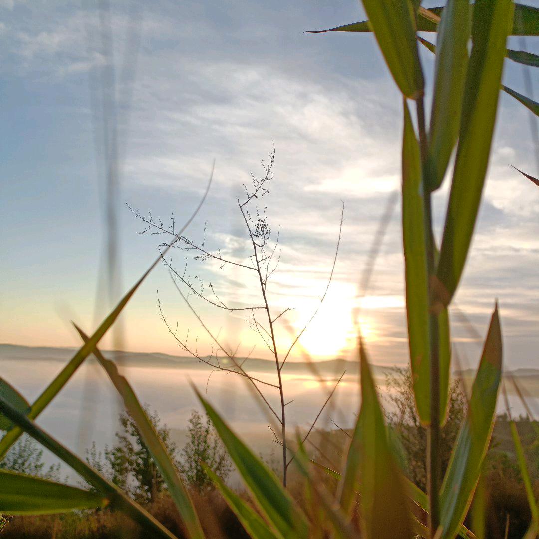 素衫☞烟雨过客