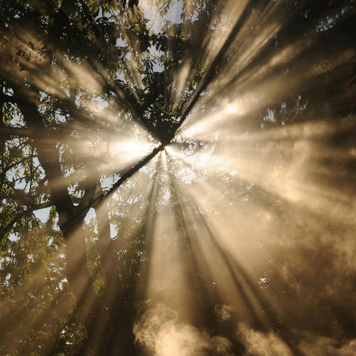 芝士就是力量～