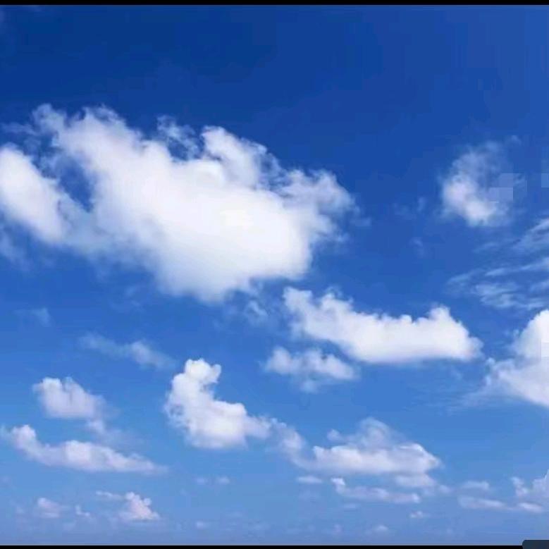 付红书