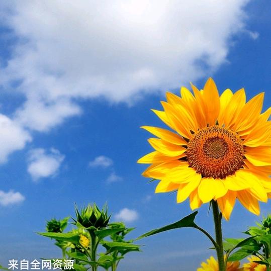 新想事成！（团购达人！）