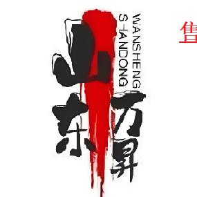 山东万昇表业