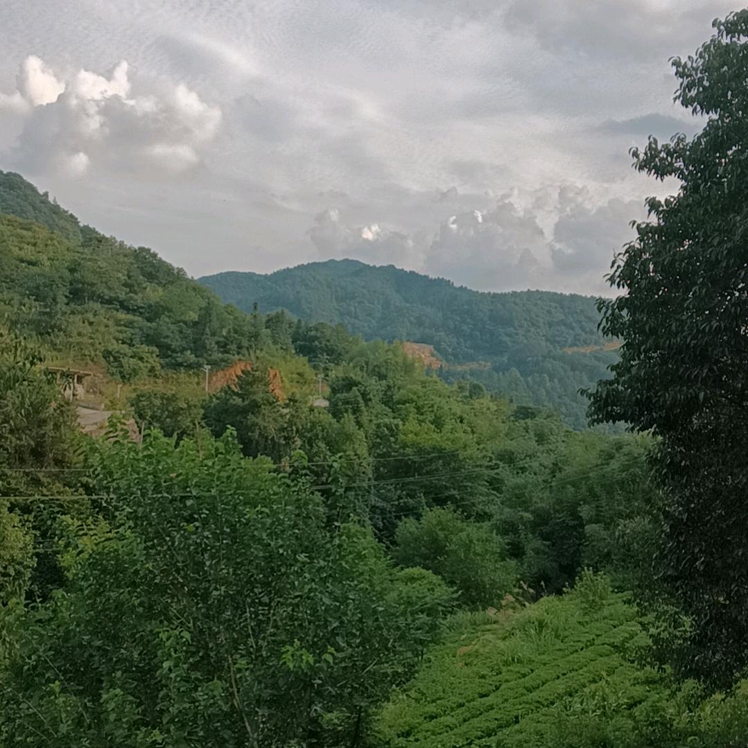 一个人挺好