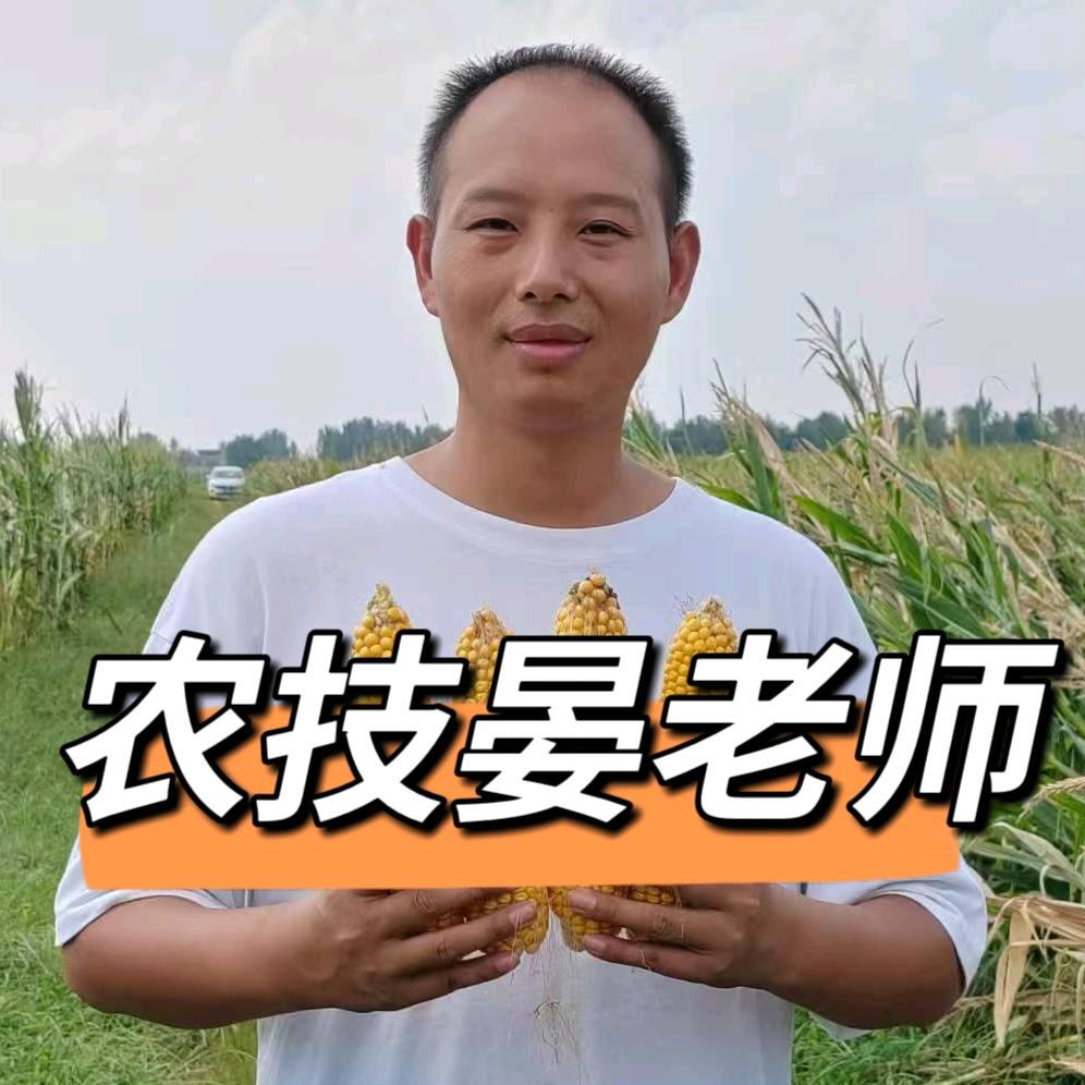 国光粮油晏老师