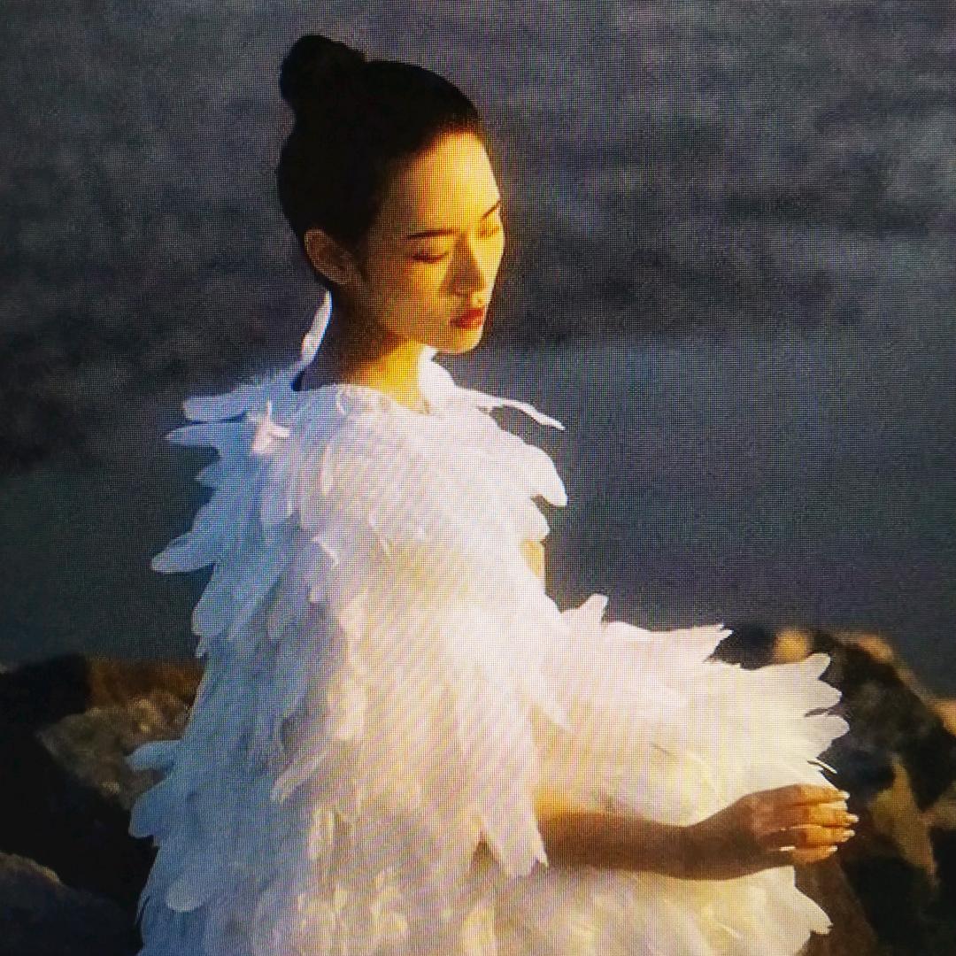吐泡泡的鱼儿