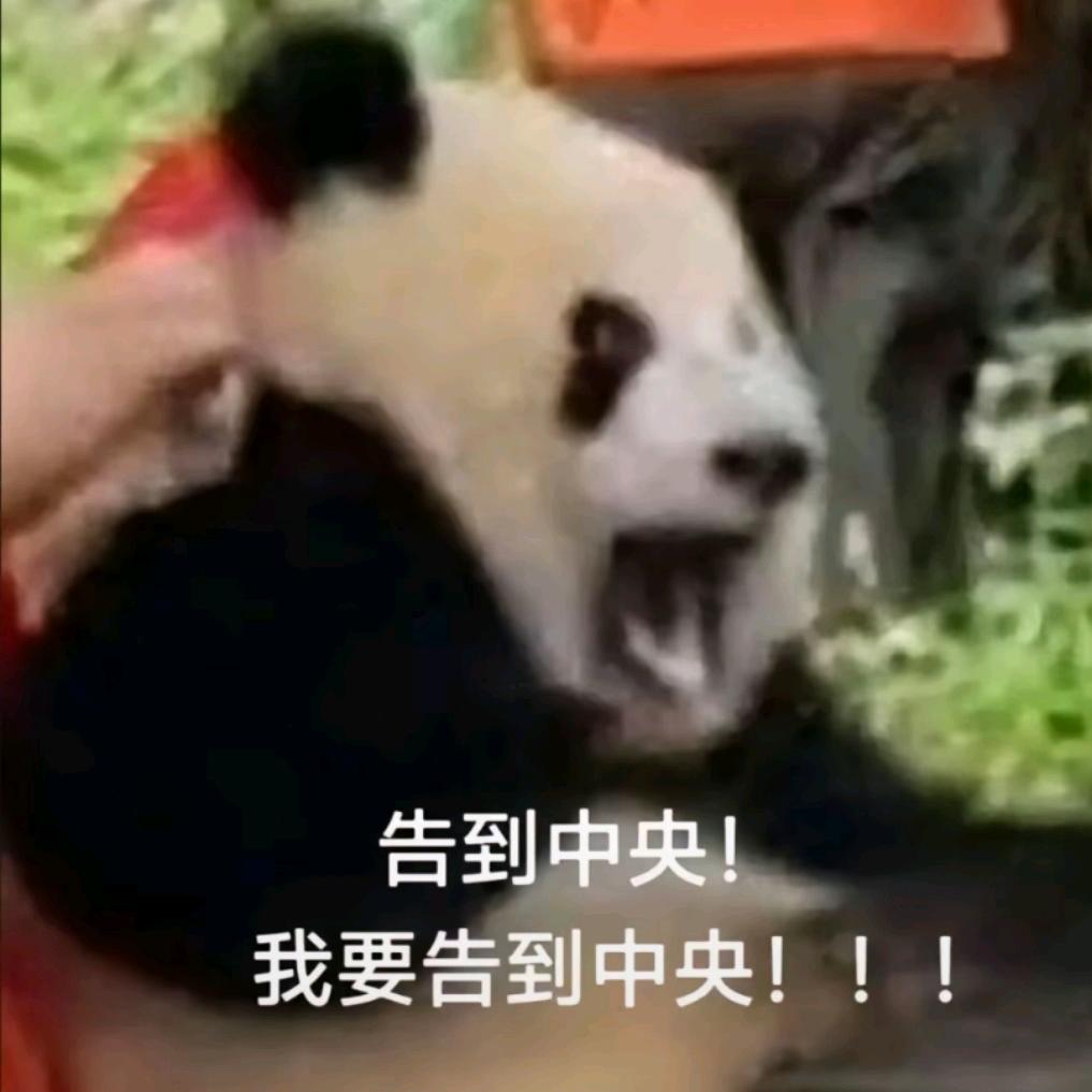 春日部地球防卫队首席兼翻斗花园保安亭亭长