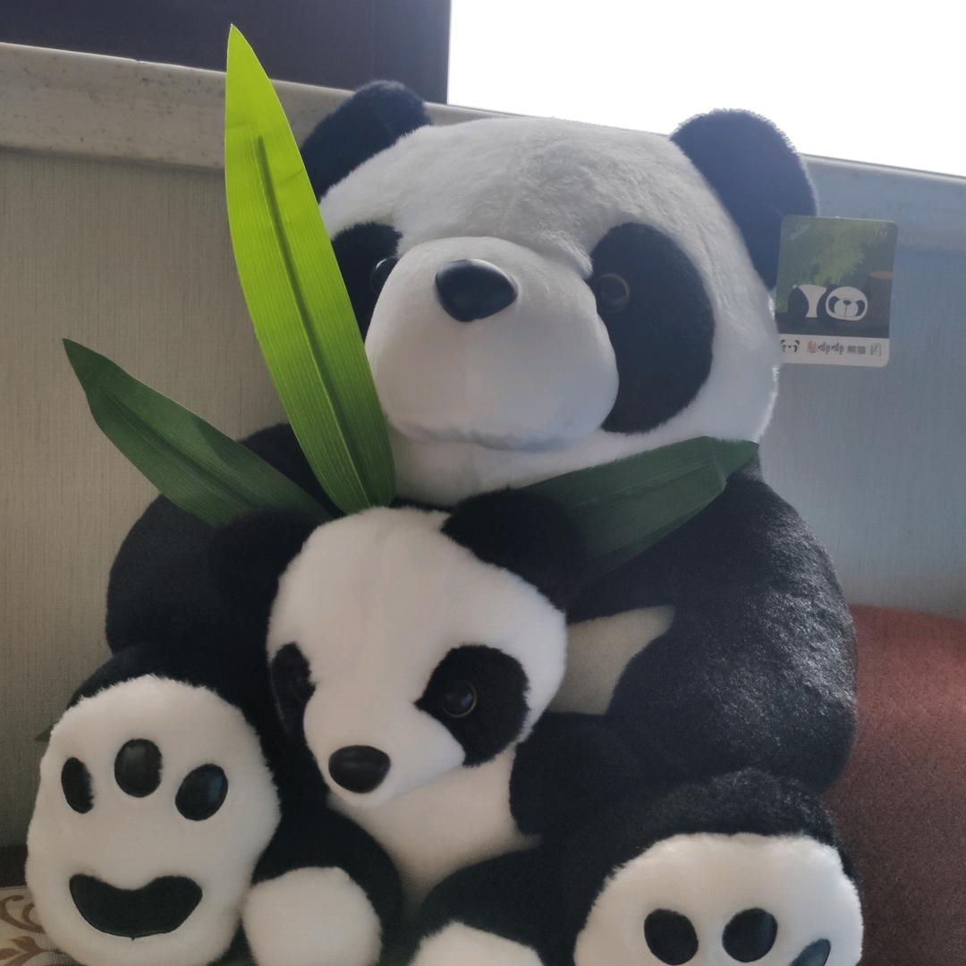 心归自然