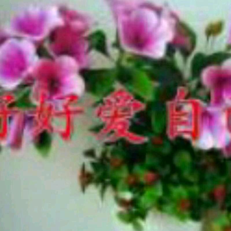 迷茫的？虎哥