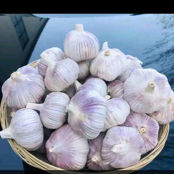 笑笑果蔬农场