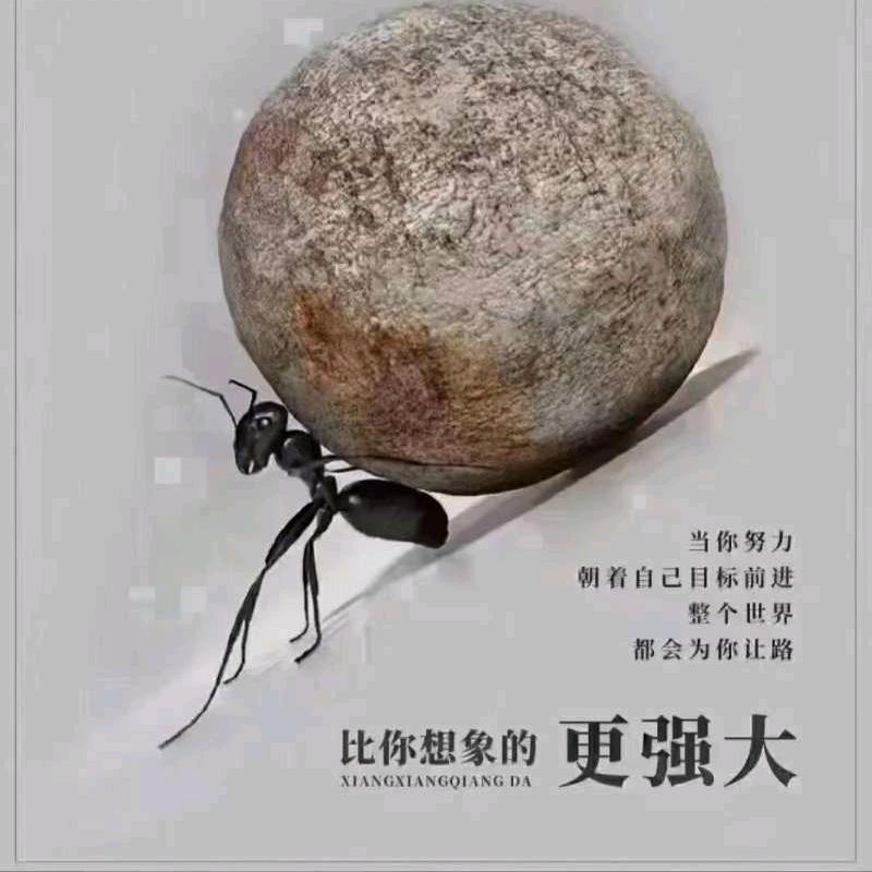 致远安然