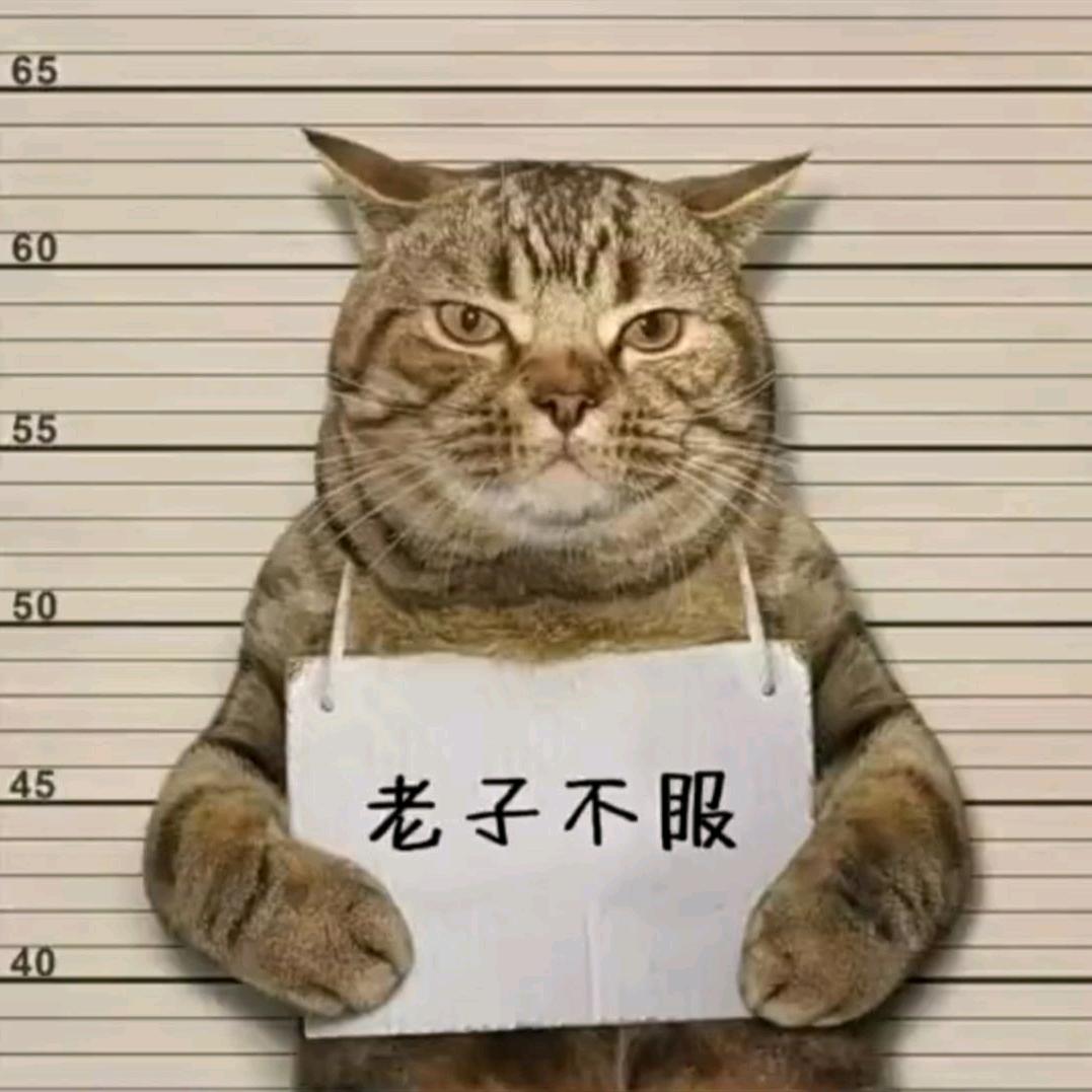 栀惠鲜果