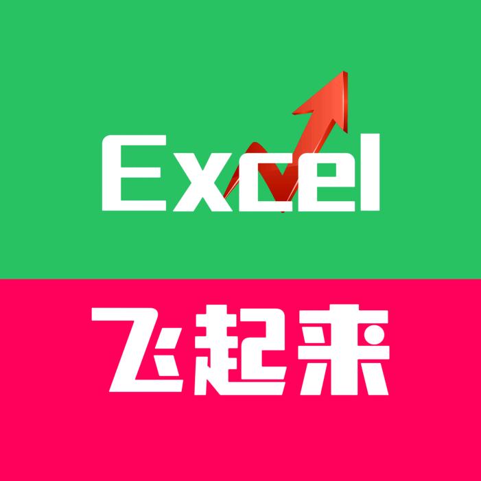 Excel飞起来