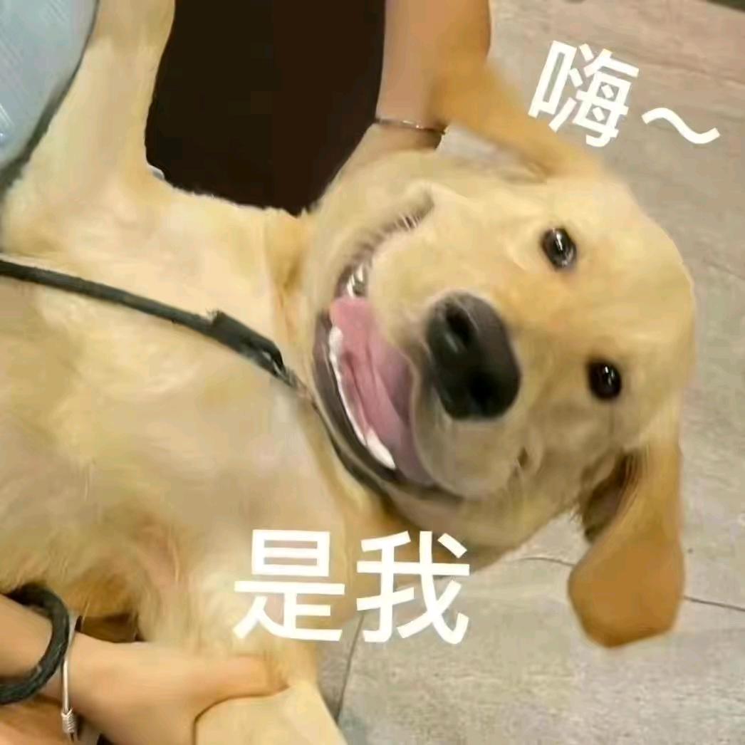 泥头车创创子