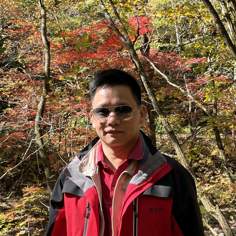 陈导游