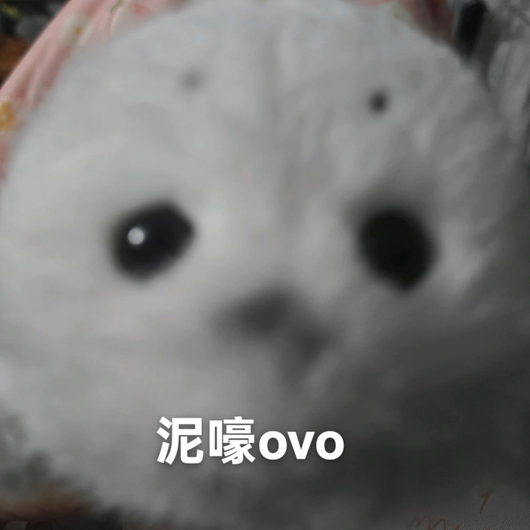 泥嚎ovo