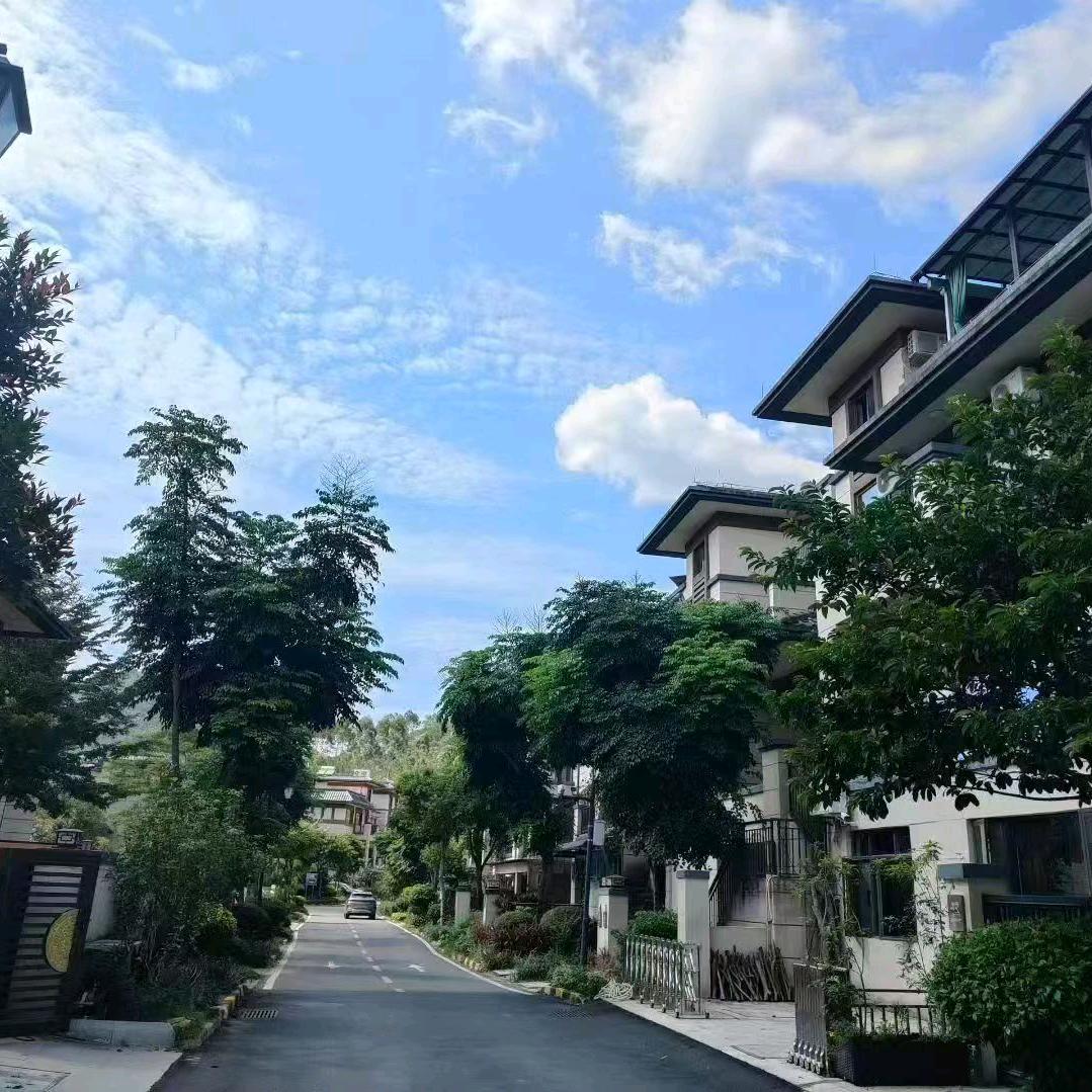 洪门聪聪