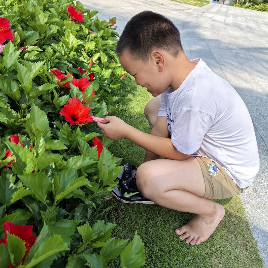 与你&桐航