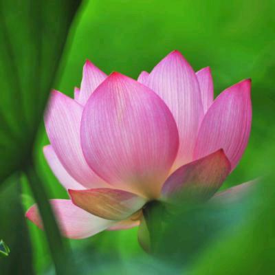 专业打各种大小井