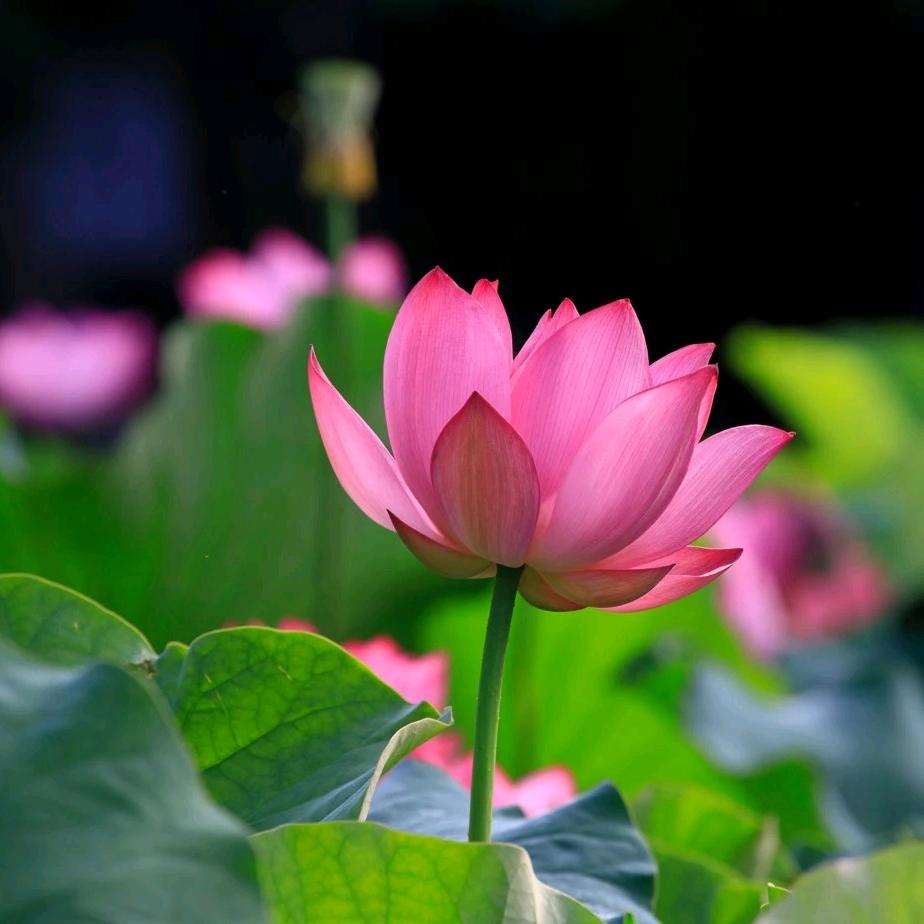 陆良全屋定制✨