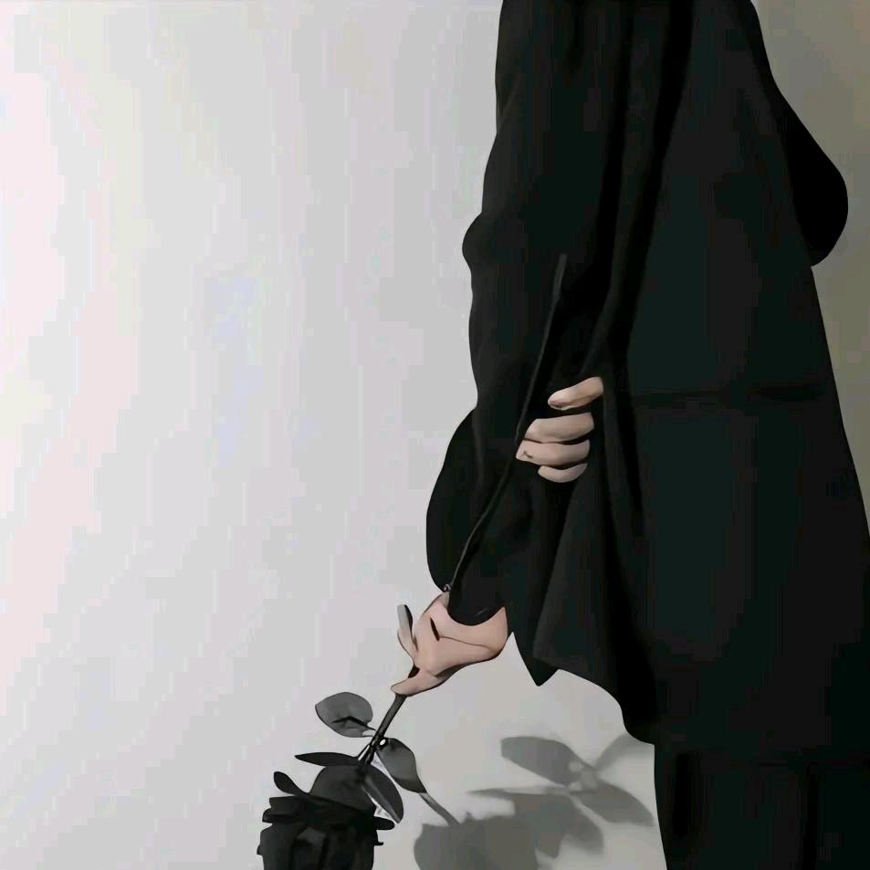 落在冬天的雪❄️