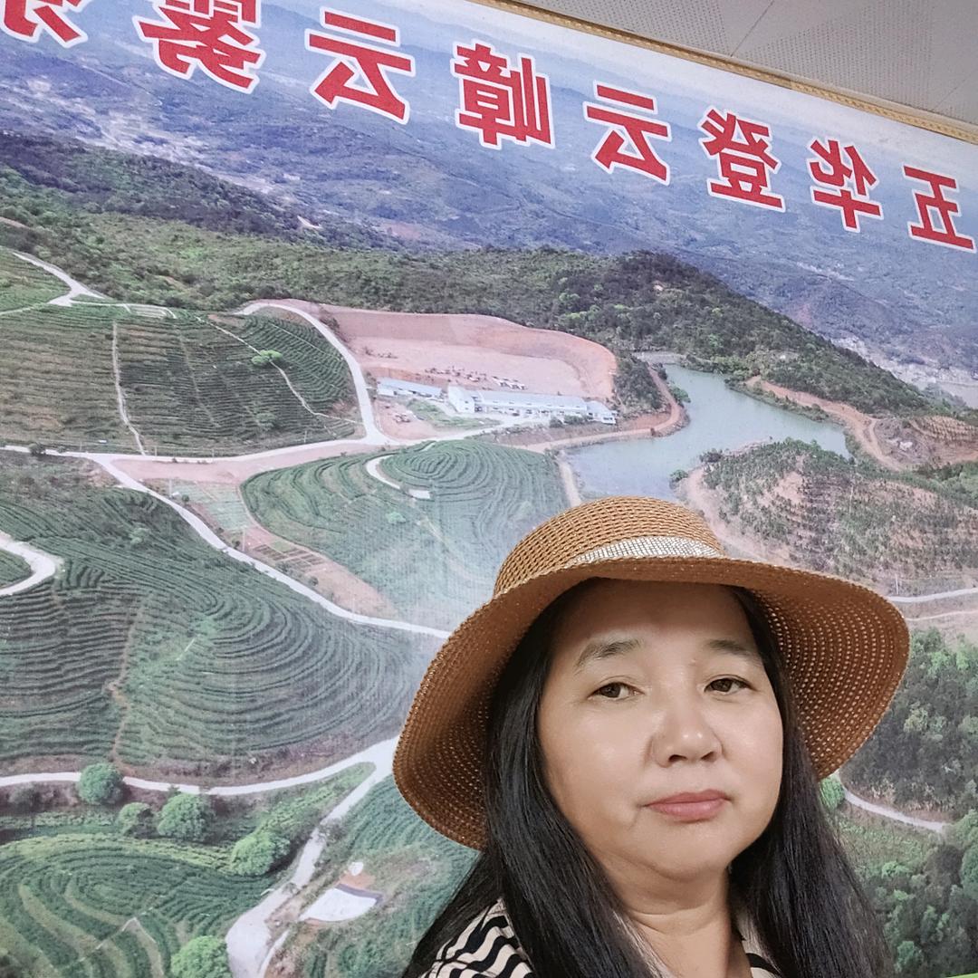 客家炒绿登云嶂高山云雾茶