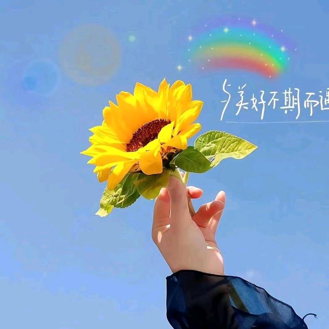 满满的满