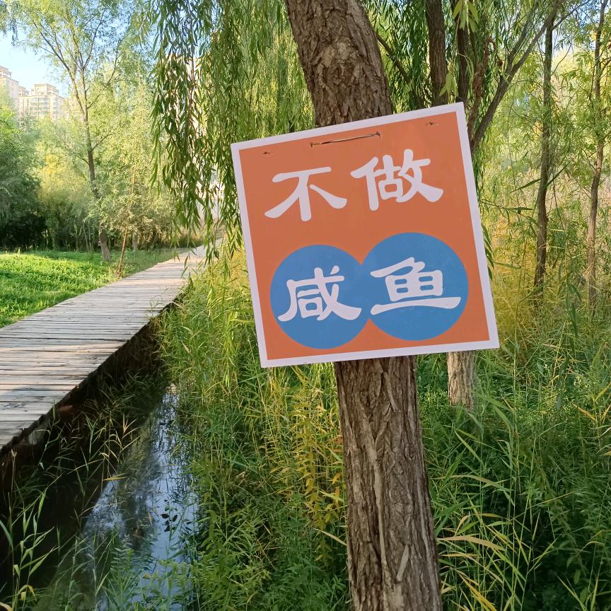 查理九世