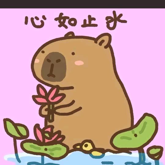 不张你