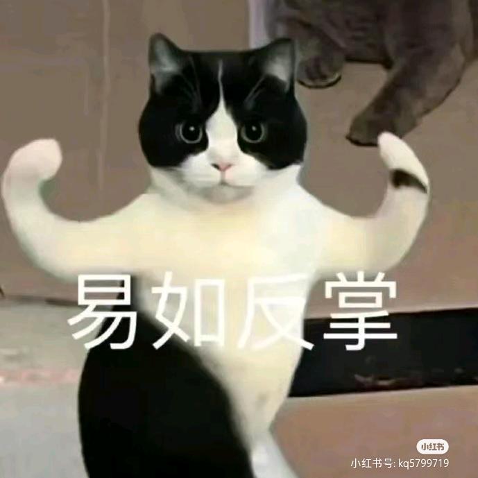 看👀有飞碟🛸