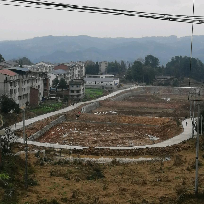 福里（五甲）